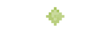 dynacom